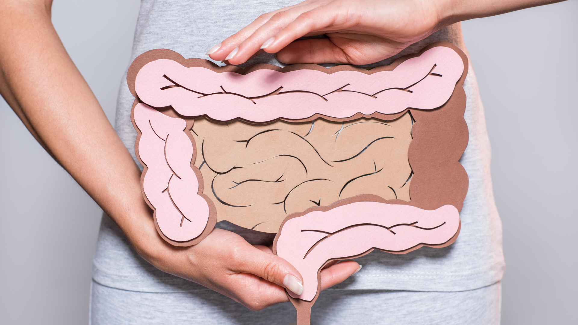 Digestive Harmony Exploring the Benefits of Stomaflex by Gold Pharma