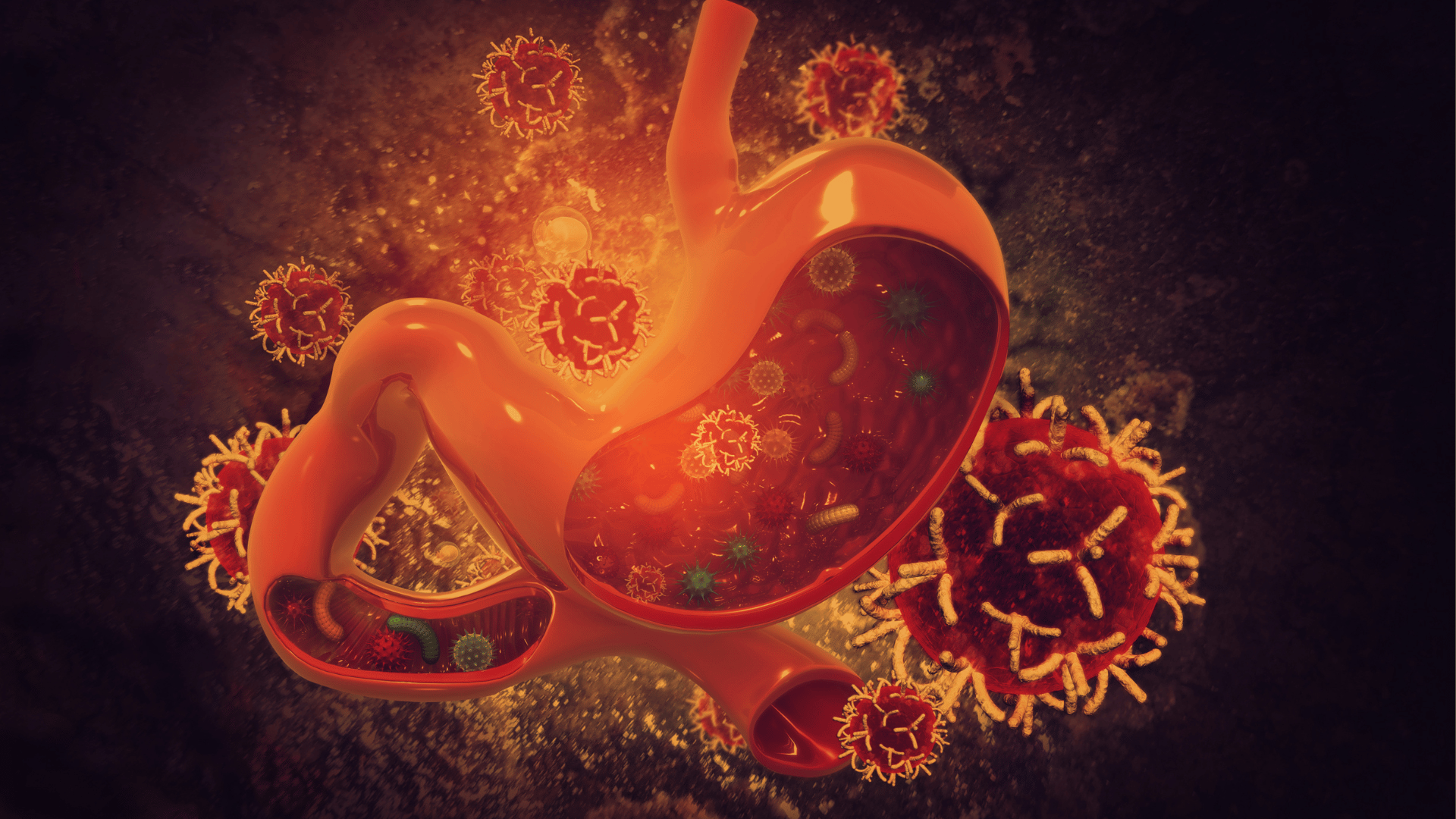 How Stomach Virus Spreads