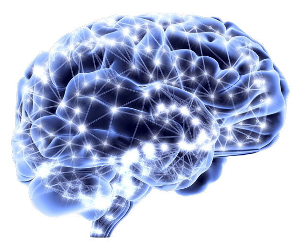 brain-with-neurons