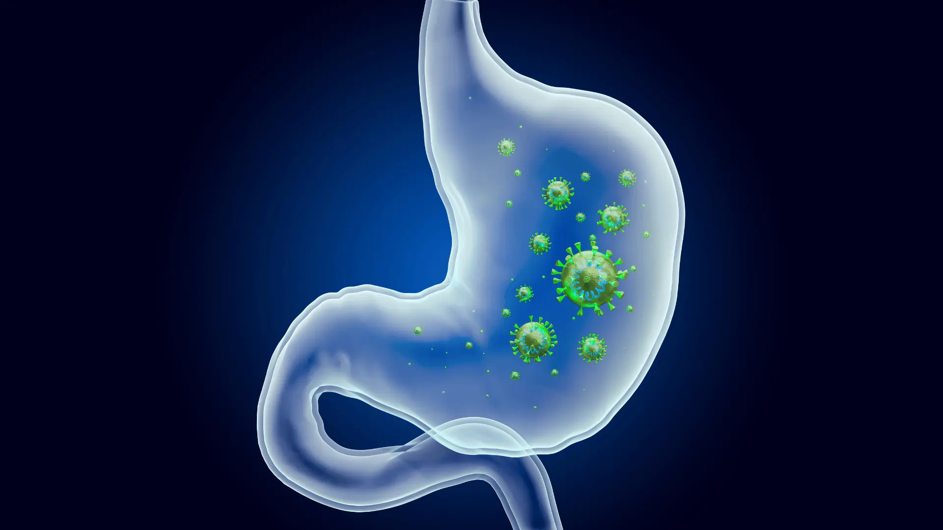 Stomach Virus Season | Prevention Tips and Effective Remedies