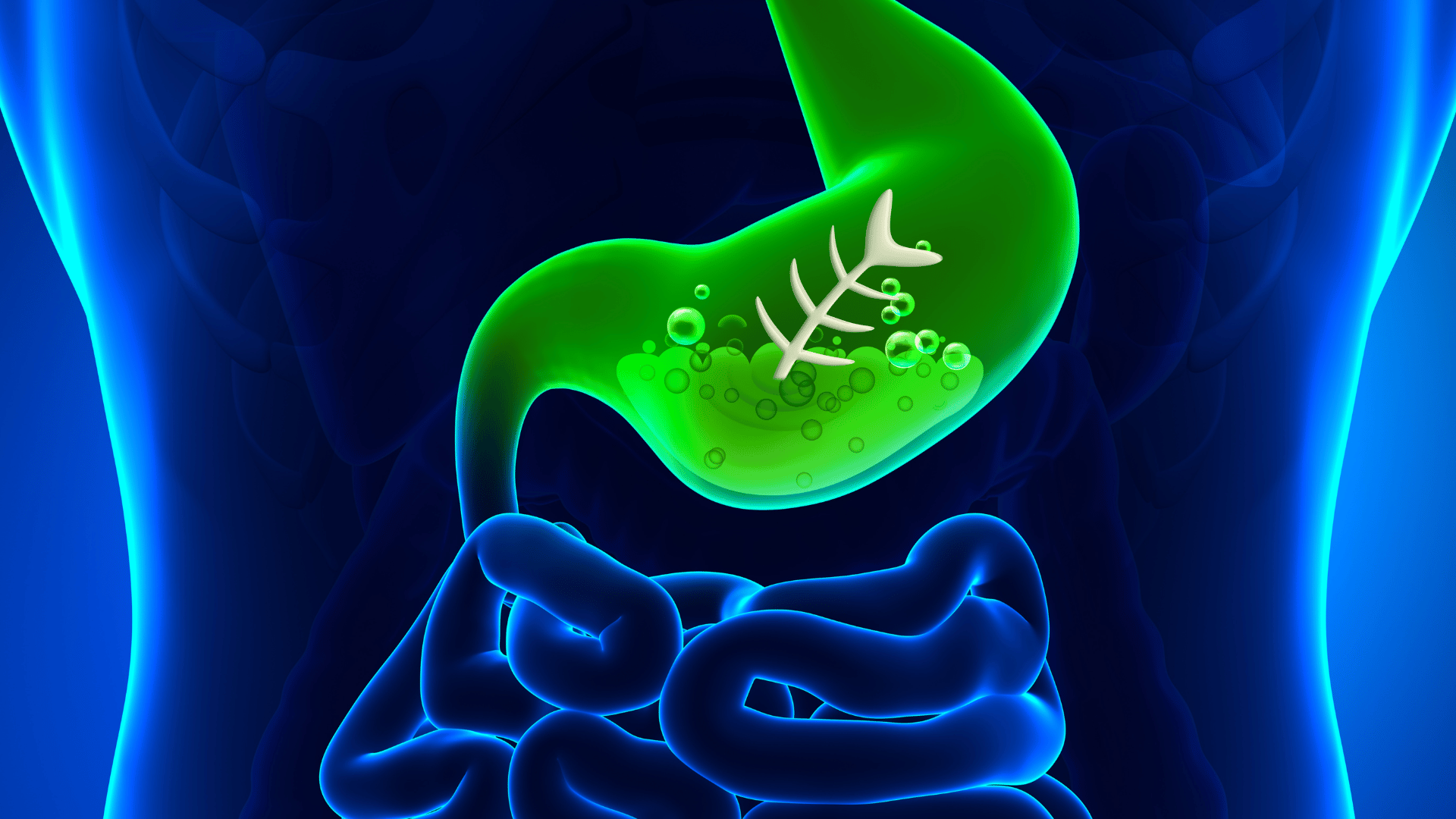 Your Partner in Achieving Stomach Wellness by Gold Pharma