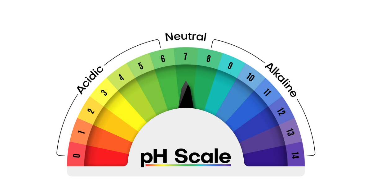 Why You Should Care About Your Body’s pH Balance